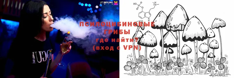 Галлюциногенные грибы Magic Shrooms  Лобня 